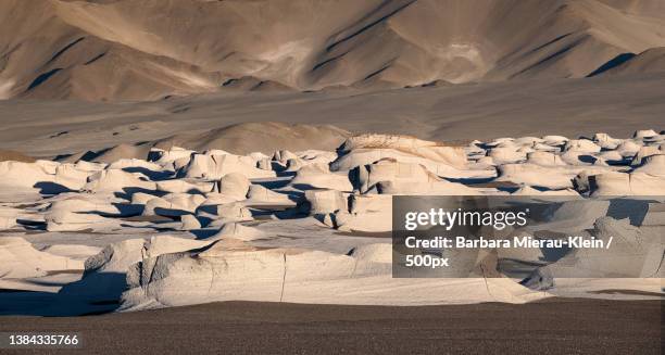pumice stone field in desert,catamarca province,argentina - catamarca stock pictures, royalty-free photos & images
