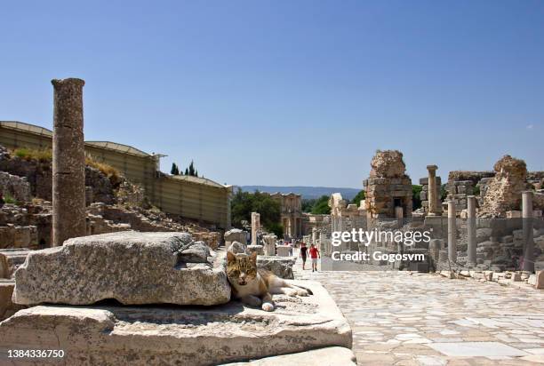ephesus ruins of the ancient city - ephesus stock pictures, royalty-free photos & images