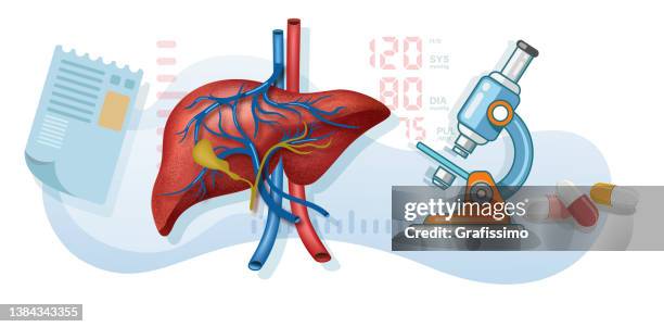 顕微鏡による平坦ベクトルイラスト人間肝臓検査 - 門脈域点のイラスト素材／クリップアート素材／マンガ素材��／アイコン素材