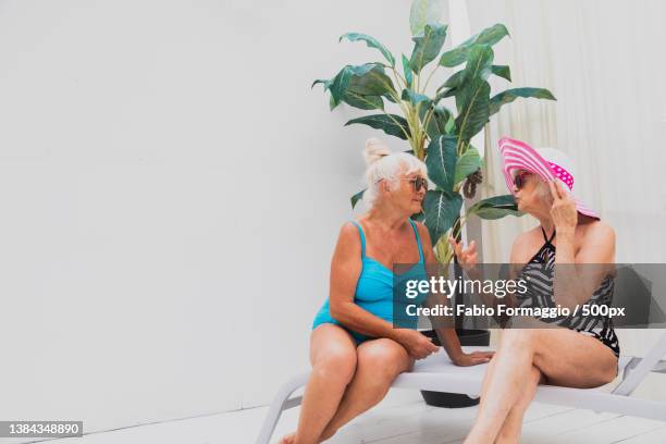 happy seniors in the swimming pool - woman swimsuit happy normal stock pictures, royalty-free photos & images