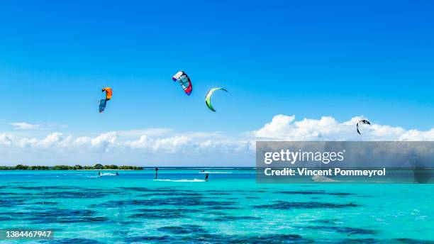 inside moorea island - moorea stock pictures, royalty-free photos & images