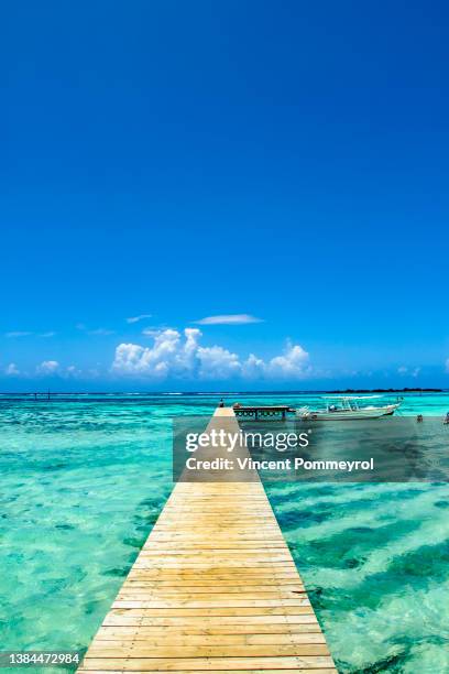 inside moorea island - tahiti photos et images de collection