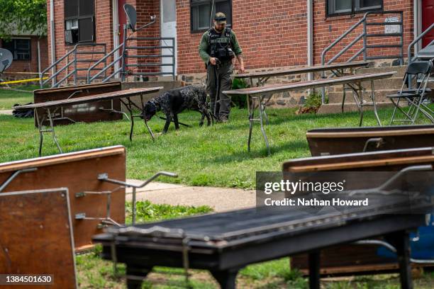 Evidence Table Photo Evidence Table Photos and Premium High Res Pictures - Getty Images