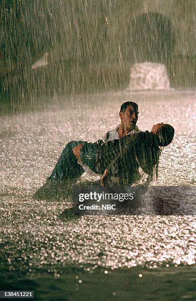 Dog Riss 9,704 Dr Ben Stock Photos, High-Res Pictures, and Images - Getty Images