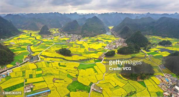 Aerial view of blooming rapeseed flowers in fields at Lushan township on March 11, 2022 in Huishui County, Qiannan Buyei and Miao Autonomous...