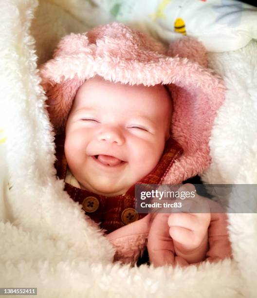 six week old baby girl - flickbaby bildbanksfoton och bilder