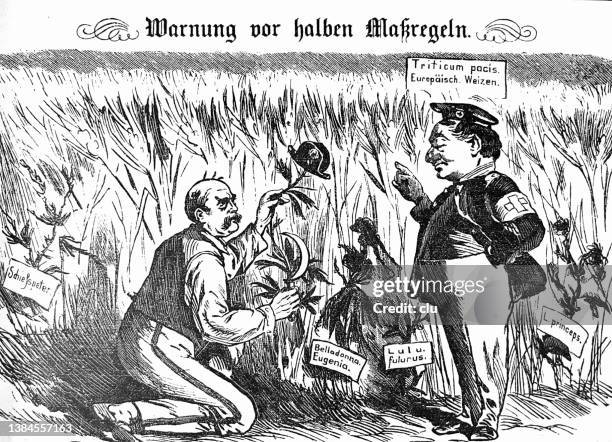 warning to bismarck: french weeds must be removed root and branch, simple pruning is useless - prune stock illustrations