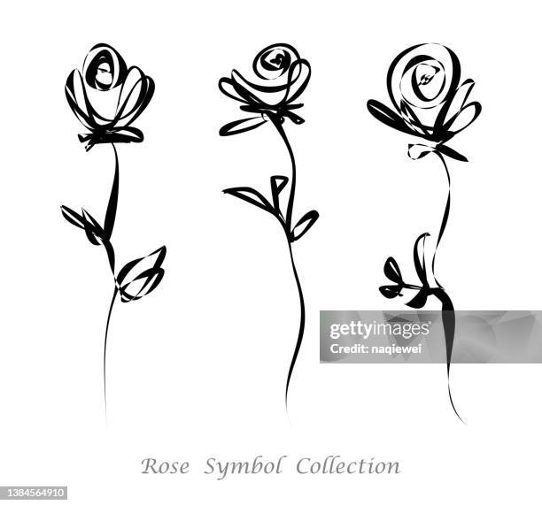 vector doodle stil minimalismus rosenblume skizzen linie kunst handzeichnung ikone handgefertigte illustration sammlung - roses stock-grafiken, -clipart, -cartoons und -symbole