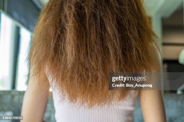 close up of back view of woman with her messy and damaged split ended hair. - dry hair stock pictures, royalty-free photos & images