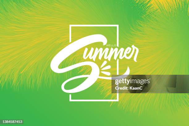 hallo sommer. schriftsatzkomposition von summer vacation auf abstrakter flauschiger hintergrundillustration - hello summer stock-grafiken, -clipart, -cartoons und -symbole