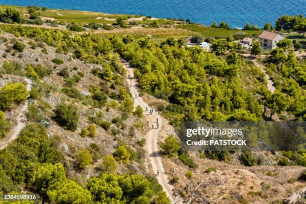 cycylist riding their bicycles on dirt road in the vicinity of murvica village on brac island, croatia. - dalmatie croatie photos et images de collection