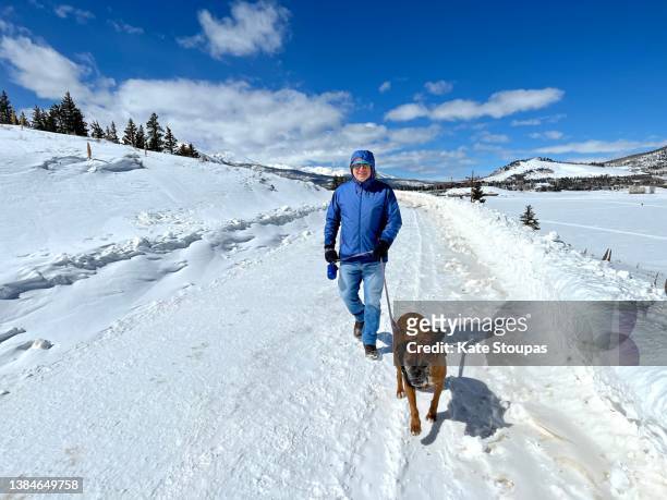 senior man walking a dog in the snow - middle age man and walking the dog stockfoto's en -beelden