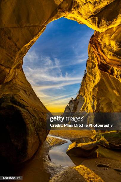 golden cave at pismo beach - südkalifornien stock-fotos und bilder