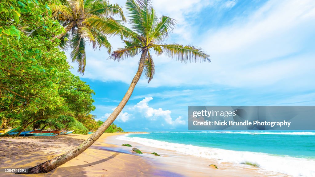 Mirissa beach, Sri Lanka.