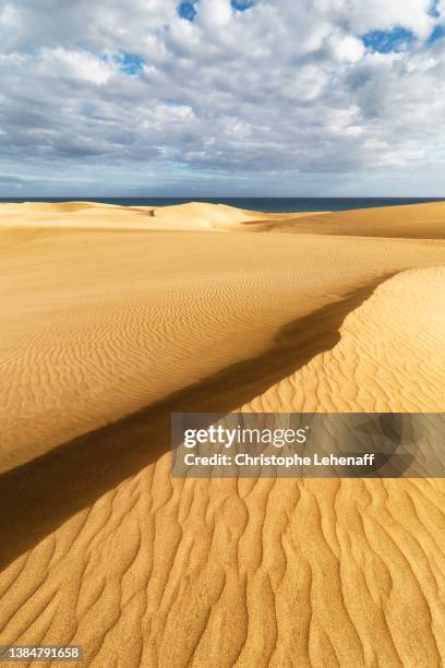 the maspalomas dunes, canary islands - maspalomas imagens e fotografias de stock