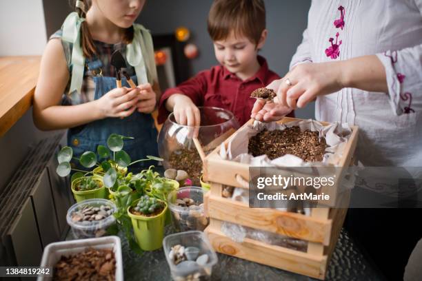 family transplanting plants in florarium at home - terrarium stock pictures, royalty-free photos & images