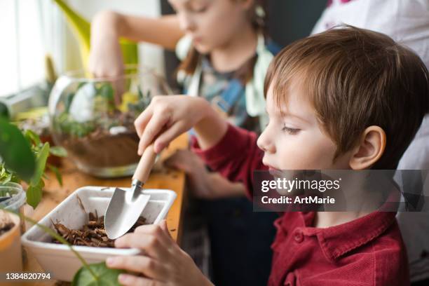 family transplanting plants in florarium at home - terrarium stock pictures, royalty-free photos & images