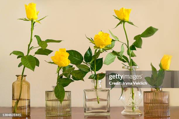 summer scene with yellow rose flowers in the vases. sun and shadows. minimal nature background. - bud vase stock pictures, royalty-free photos & images