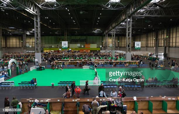 General view of the arena on day 4 at Crufts dog show at National Exhibition Centre on March 13, 2022 in Birmingham, England. Crufts returns this...
