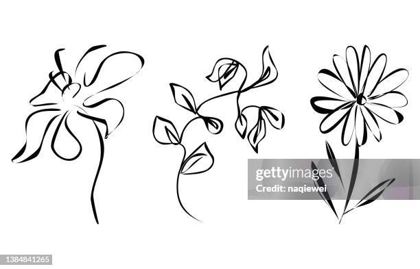 stockillustraties, clipart, cartoons en iconen met vector abstract doodle style minimalism plant flower leaf sketches one line art hand drawing  symbol handmade illustration collection - meeldraad