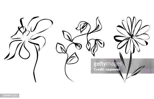 vector abstract doodle style minimalism plant flower leaf sketches one line art hand drawing  symbol handmade illustration collection - stamen stock illustrations