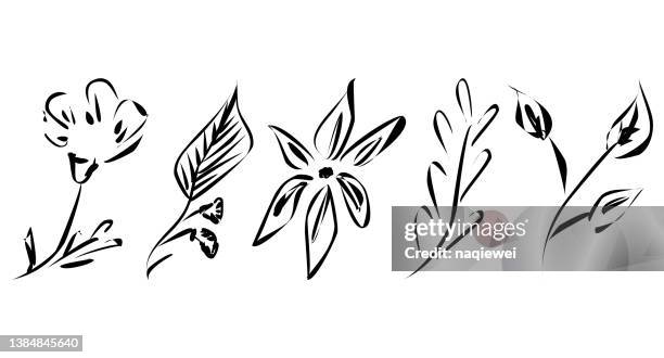 vektor abstrakte doodle stil minimalismus pflanze blumenblatt skizzen eine linie kunst handzeichnung symbol handgefertigte illustration sammlung - poppy plant stock-grafiken, -clipart, -cartoons und -symbole