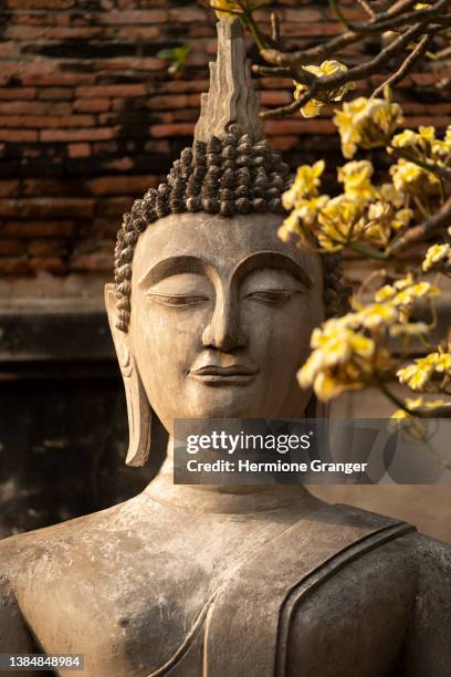 head of buddha image used as amulets of buddhism religion. - buddha face stock pictures, royalty-free photos & images
