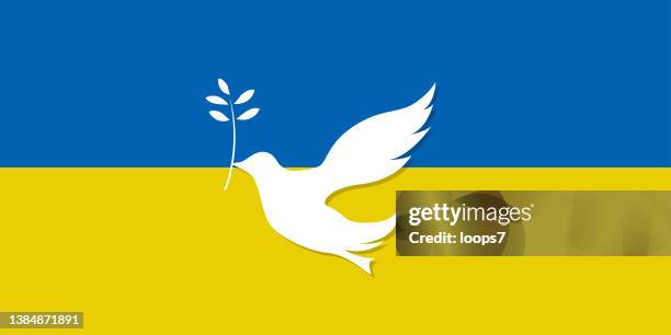 illustrazioni stock, clip art, cartoni animati e icone di tendenza di colomba della pace sulla bandiera dell'ucraina - kiev