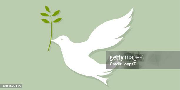 dove of peace on green background - pigeon isolated stock illustrations