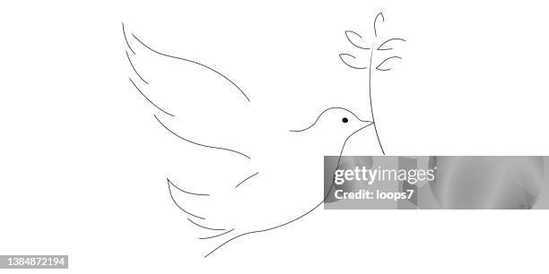dove of peace on white background - pigeon vector stock illustrations