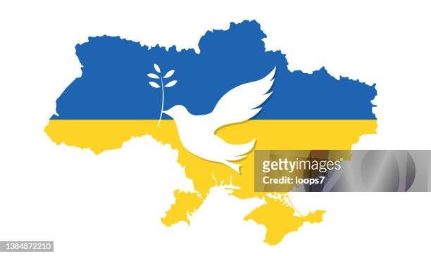 dove of peace on ukraine map with ukrainian flag colors - ukraine war stock illustrations