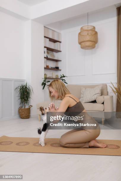 a young european woman with blond hair is doing yoga with her small dog of the maltese breed - dog yoga stock pictures, royalty-free photos & images