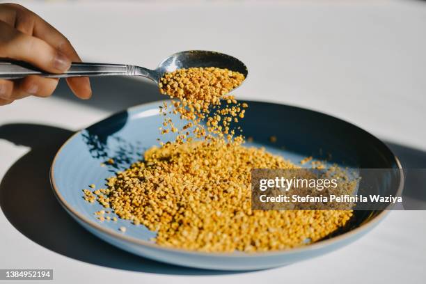 hand holding a metal spoon while pouring bee pollen on a turquoise plate. - entzündungshemmend stock-fotos und bilder