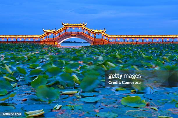 wooden covered bridge, suzhou, china - suzhou china fotografías e imágenes de stock