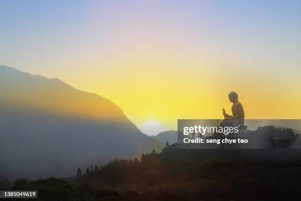 hong kong tian tan buddha series - lantau stock pictures, royalty-free photos & images