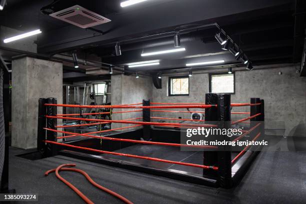boxing ring - boxing or wrestling ring or cage animal stock pictures, royalty-free photos & images