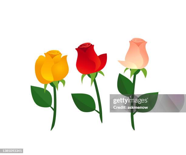 Three Roses Cartoon Three Red Roses Photos and Premium High Res Pictures - Getty Images