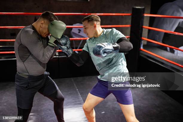 11 Boxing Ring String Stock Photos, High-Res Pictures, and Images ...