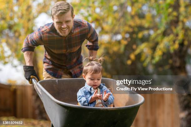 dad giving toddler daughter a ride in a wheelbarrow - kruiwagen stockfoto's en -beelden