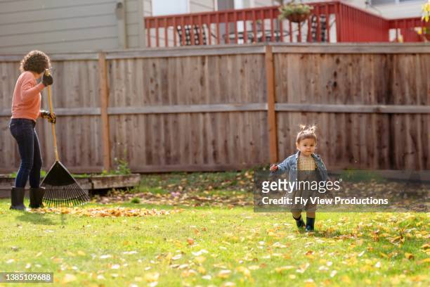 mom raking leaves in backyard with toddler daughter - woman and toddler stock pictures, royalty-free photos & images