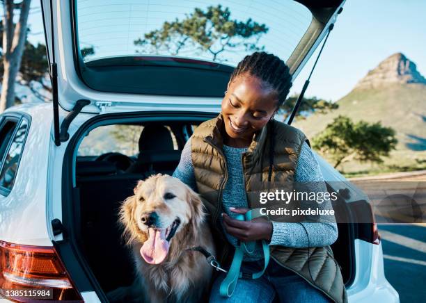 shot of a young woman going for a road trip with their dog - dog car stockfoto's en -beelden