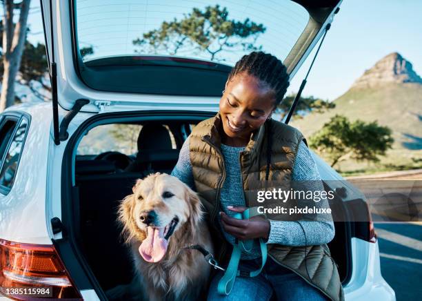 shot of a young woman going for a road trip with their dog - african car stock pictures, royalty-free photos & images