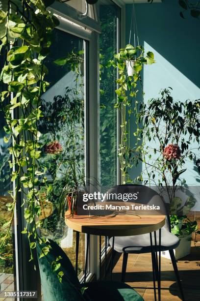 modern cafe design with lots of indoor plants. cafe interior. - cafe table chair outside ストックフォトと画像