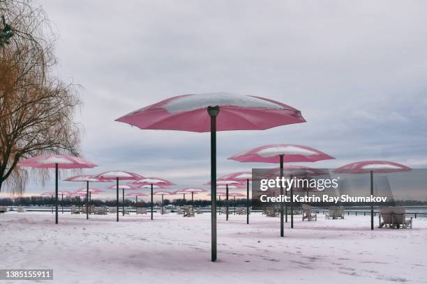 surreal winter beach - your fresh take on vacation! - toronto landscape stock pictures, royalty-free photos & images