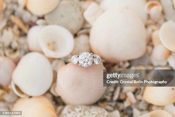 diamond engagement ring surround by seashells in bright natural light - white gold stock pictures, royalty-free photos & images