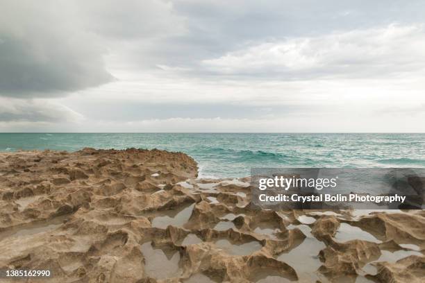 coral rock shoreline in singer island beach in south florida at sunset - southern rock stock pictures, royalty-free photos & images