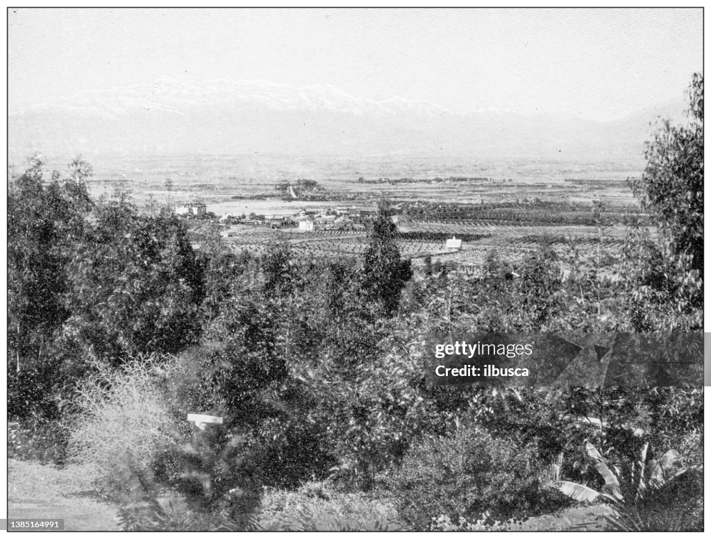 Antique travel photographs of California: San Gabriel Valley