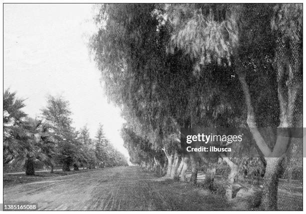 stockillustraties, clipart, cartoons en iconen met antique travel photographs of california: magnolia avenue, riverside - riverside californië