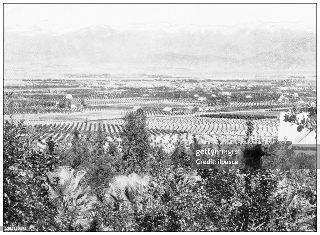 Antique travel photographs of California: Sierra Madre, San Gabriel Valley