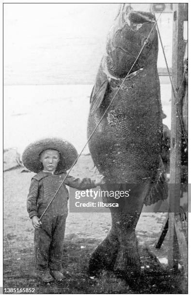 antique travel photographs of california: child and giant fish - and trophy fish stock illustrations